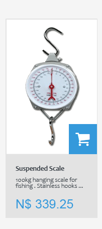 100kg hanging scale for fishing 